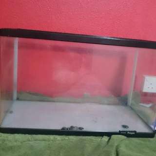 Bare Fish Tank 