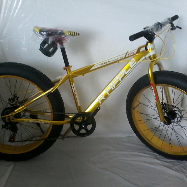 scott gambler fr10