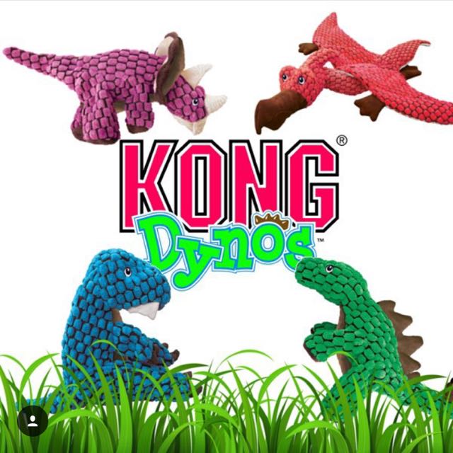 kong dynos