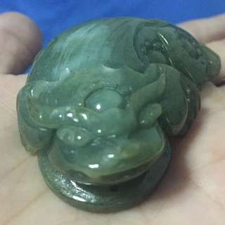 💰💰 Lucky Jade Frog 💰💰