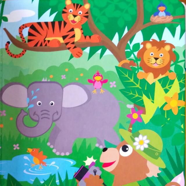 Let S Look Baby Einstein Little First Look And Find Hobbies Toys Books Magazines Children S Books On Carousell