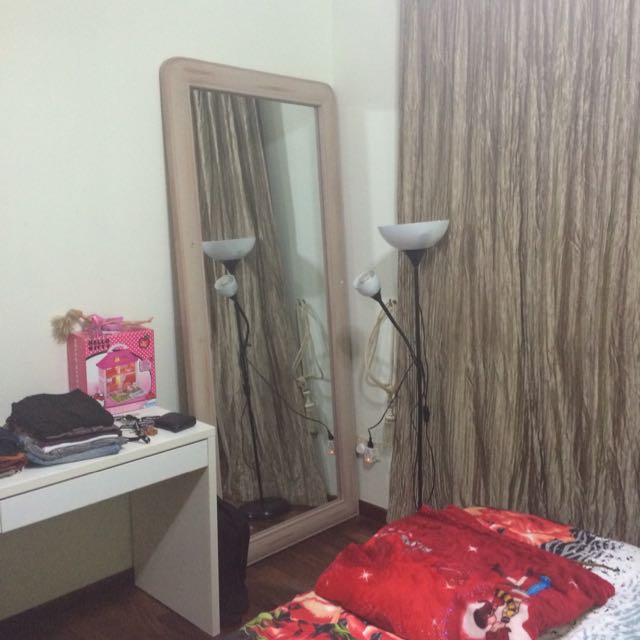 Antique Designer Full Length Mirror