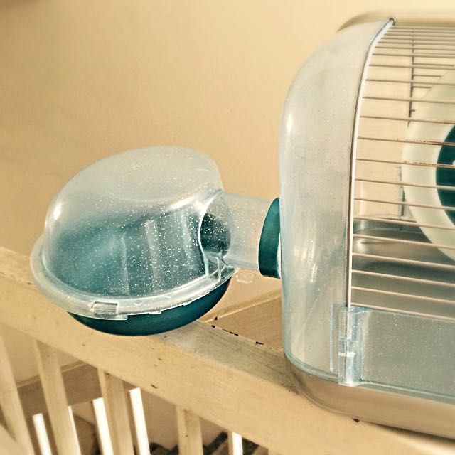 Habitrail Space Station Hamster Cage Pet Supplies Homes Other
