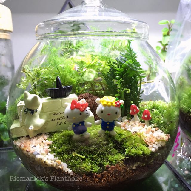 Hello Kitty Terrarium Design Craft On Carousell