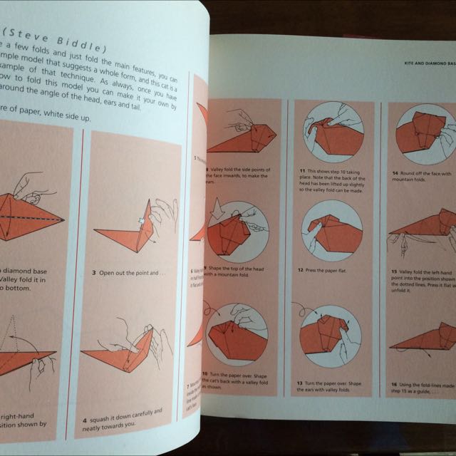 Steve and Megumi Biddle's Step-by-step Origami [Book]