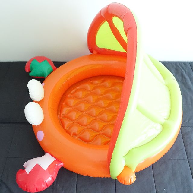 Early Learning Centre Crab Baby Shade Pool