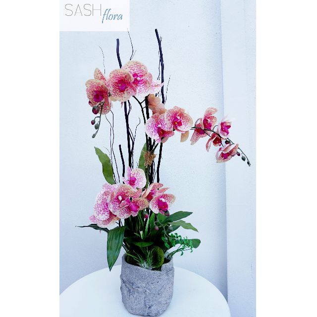 Unduh 54 Koleksi Gambar Gubahan Flora  Gratis