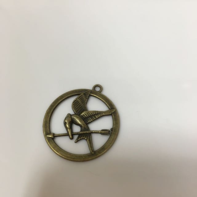 Hunger Games Keychain/badge, Hobbies & Toys, Toys & Games on Carousell