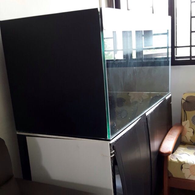 2nd Hand Fish tank. Able To Nego, Pet Supplies, Homes & Other Pet Accessories on Carousell