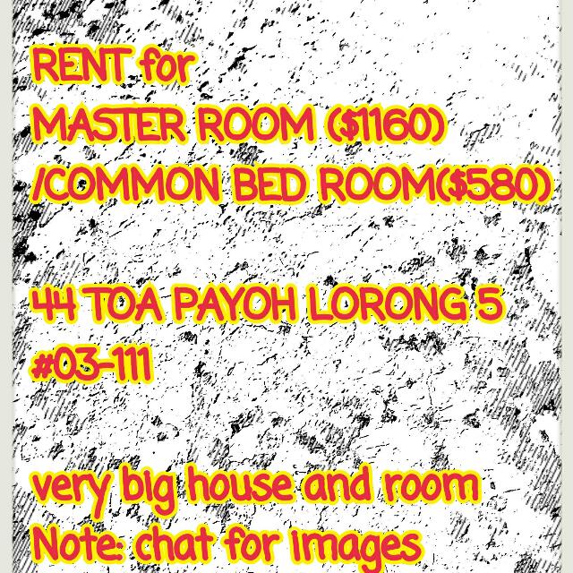 (Category: ) located in . Submitted by sweetdrops (Listing ID 41201273, Image 1). Description: .
