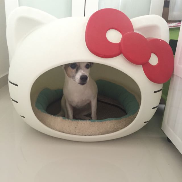 Hello Kitty Dog House, Babies & Kids, Bathing & Changing, Other Baby Bathing & Changing Needs on