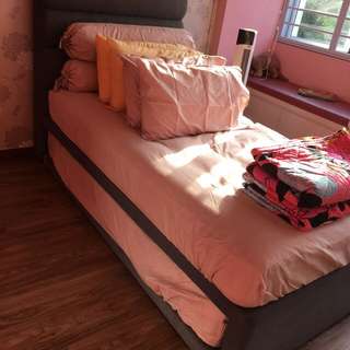 Super single Bed + SS Matress +Single Mattress