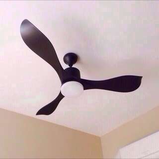 Designer Ceiling Fan With 3 Years Warranty