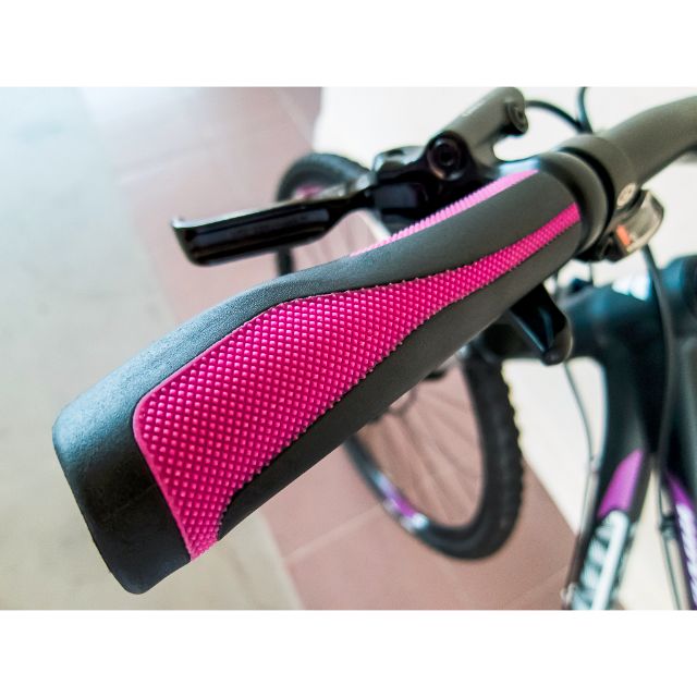 Giant Liv Rove 2 Disc, XS (Mountain 
