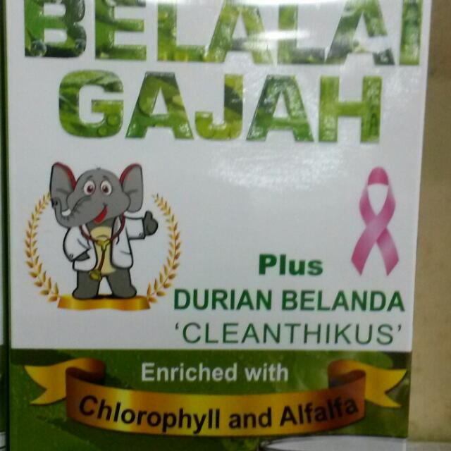 Teh Belalai Gajah Plus Durian Belanda Health Beauty On Carousell