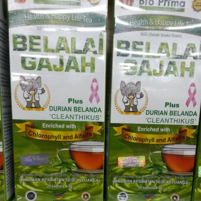 Teh Belalai Gajah Plus Durian Belanda Health Beauty On Carousell