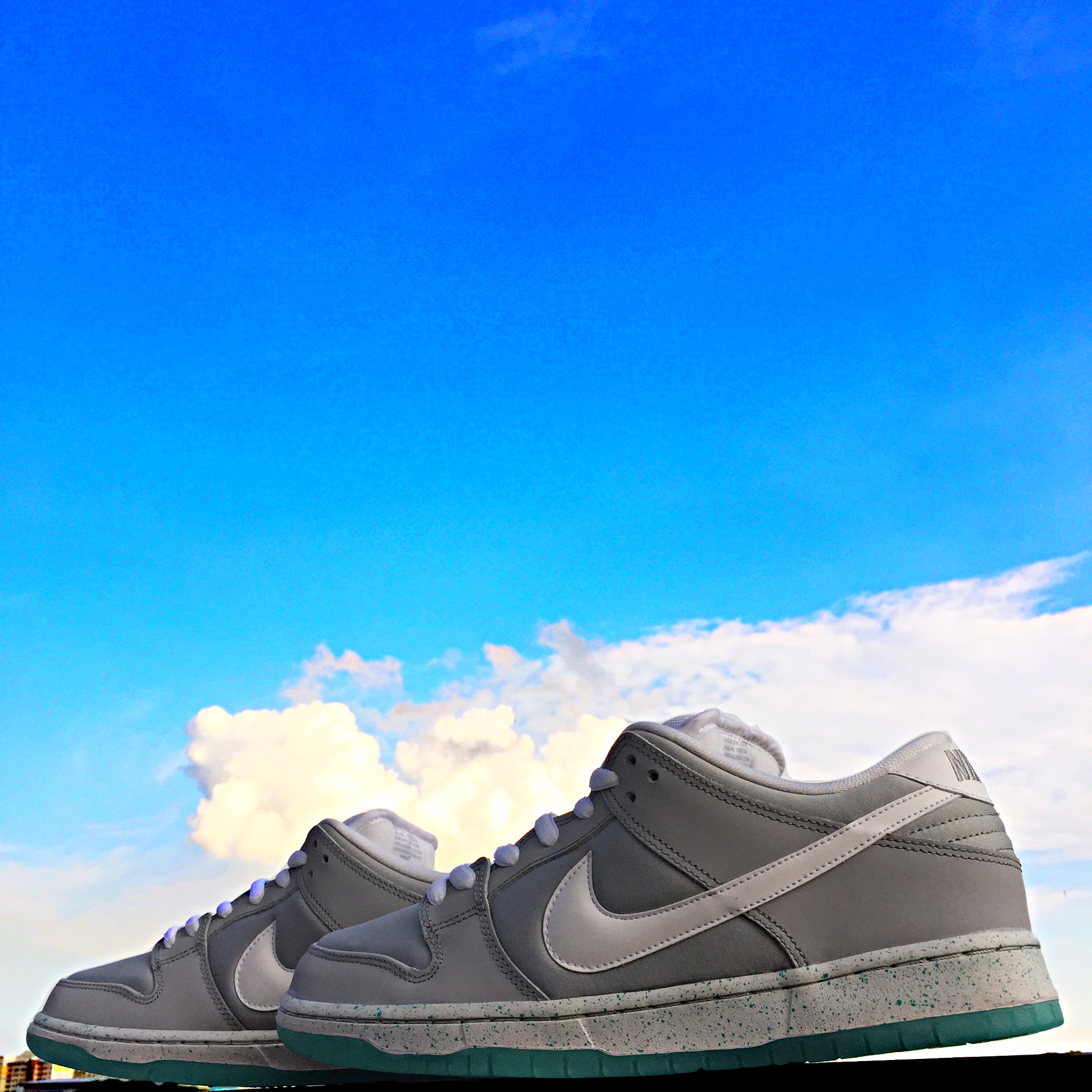 Nike Dunk Low Premium SB Marty McFly US10 Women s Fashion Footwear Sneakers on Carousell