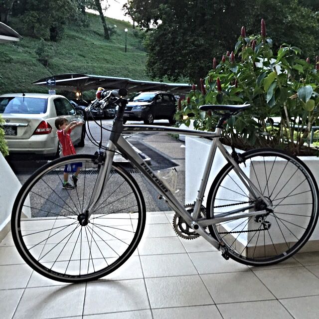 Polygon helios flat bar best sale
