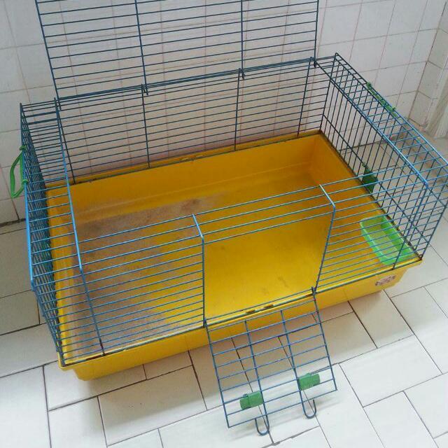 Marchioro Pet Cage Pet Supplies Homes Other Pet Accessories on Carousell