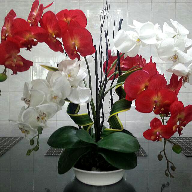 Red White Orchid Flower Arrangement Artificial Plant Women S Fashion On Carousell
