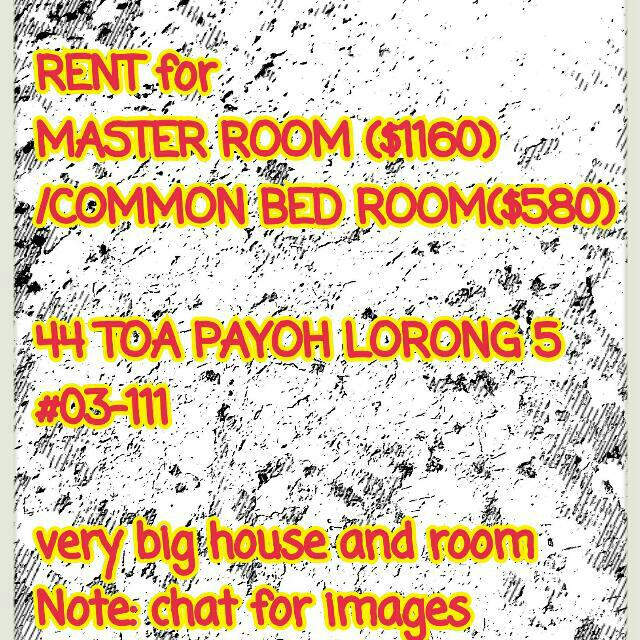 (Category: ) located in . Submitted by sweetdrops (Listing ID 42445118, Image 1). Description: .