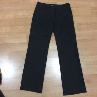 Pant For Office Wear