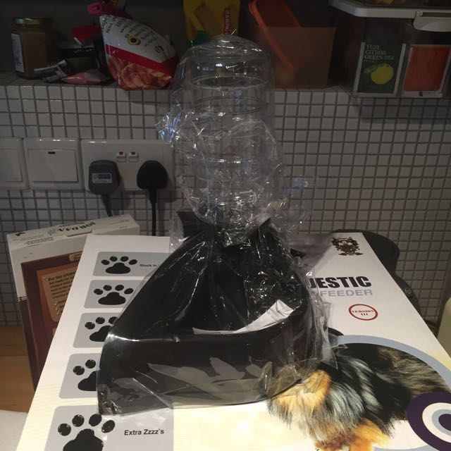 Crown majestic automatic pet feeder sale