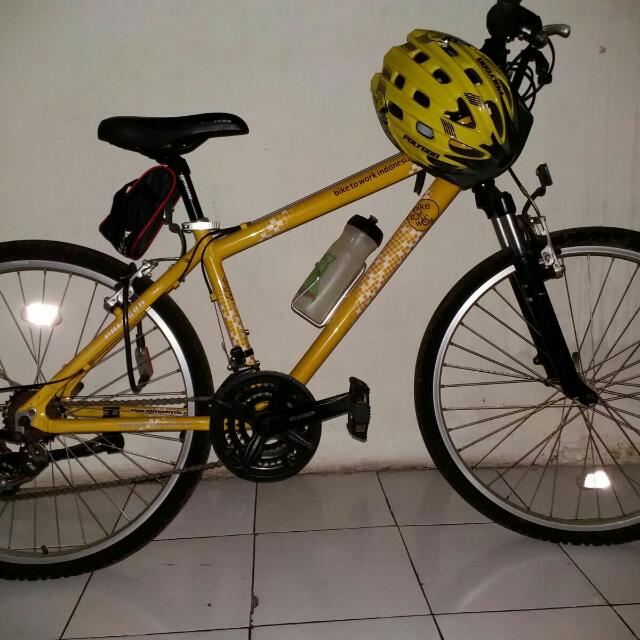 polygon bike to work