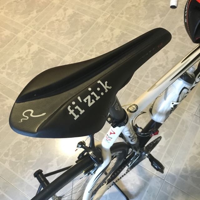 fizik arione price