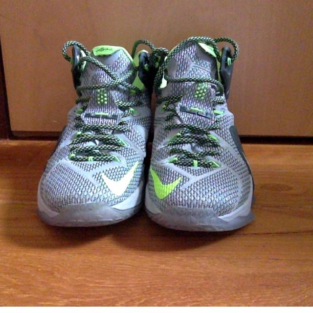 lebron 12 dunk force