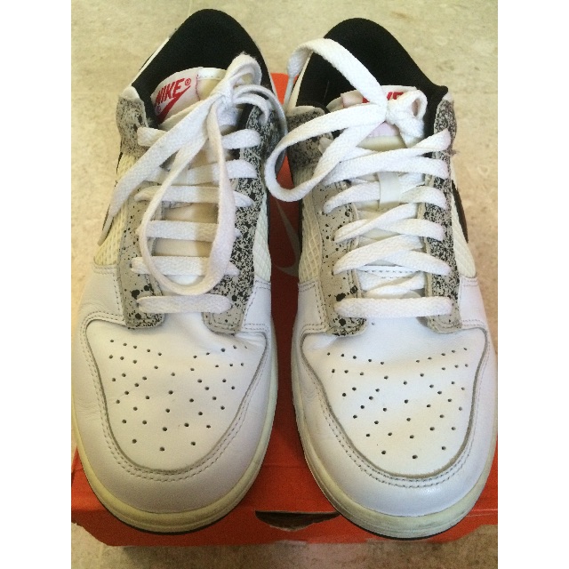 nike dunk 2008