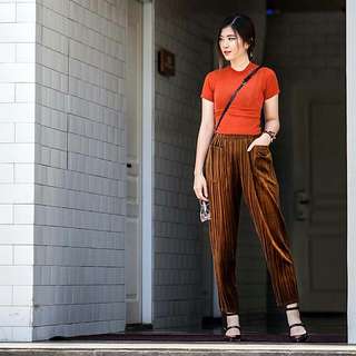 Pleats Pants