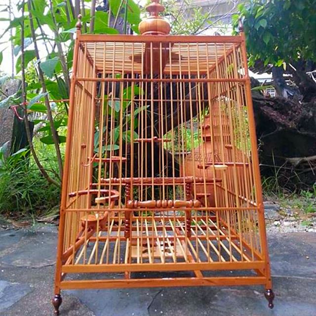 Brand New 32 Thai Jambul Bird Cage, Pet Supplies on Carousell