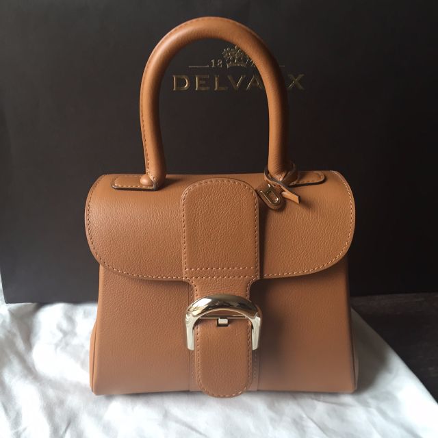 delvaux mini