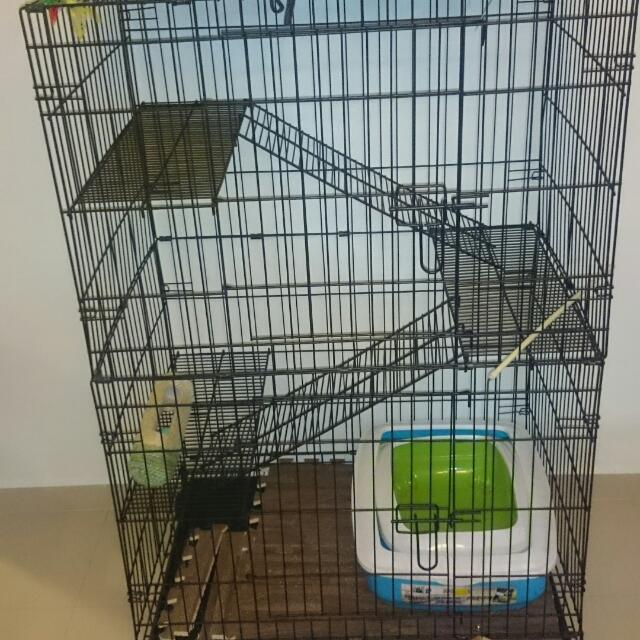 cat cage with litter box