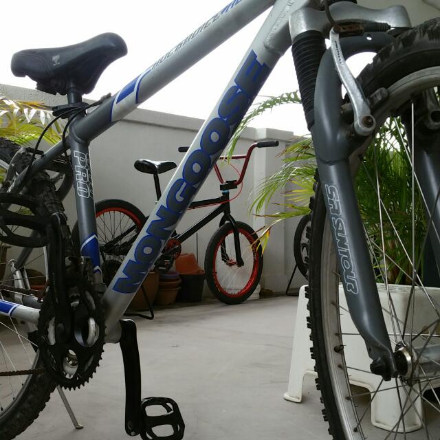 Mongoose rockadile sales 26