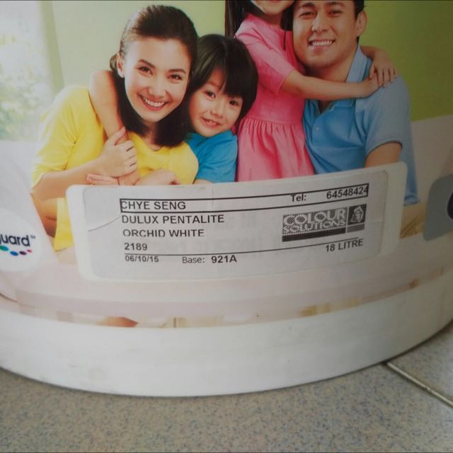 Nippon Paint (Orchid White), Furniture & Home Living, Home Decor, Vases