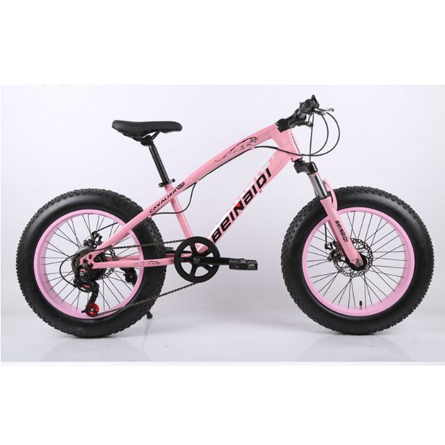 mini fat bike
