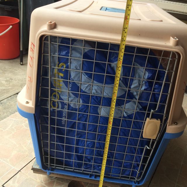 Dog Crate IATA Approved, Pet Supplies, Homes & Other Pet Accessories on