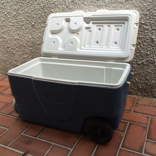 Coleman Cool Box, TV & Home Appliances, Kitchen Appliances, Wine Cellar