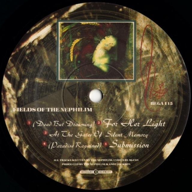 Fields of the nephilim vinyl record vg+ goth rock metal, Hobbies & Toys