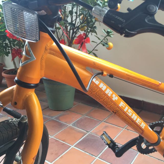 Gary fisher aluminum best sale bike