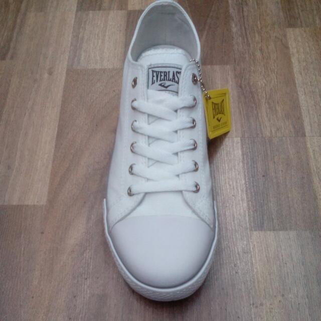 adidas box hog 3 plus