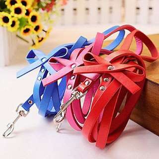 Leather Collar & Leash With Bows