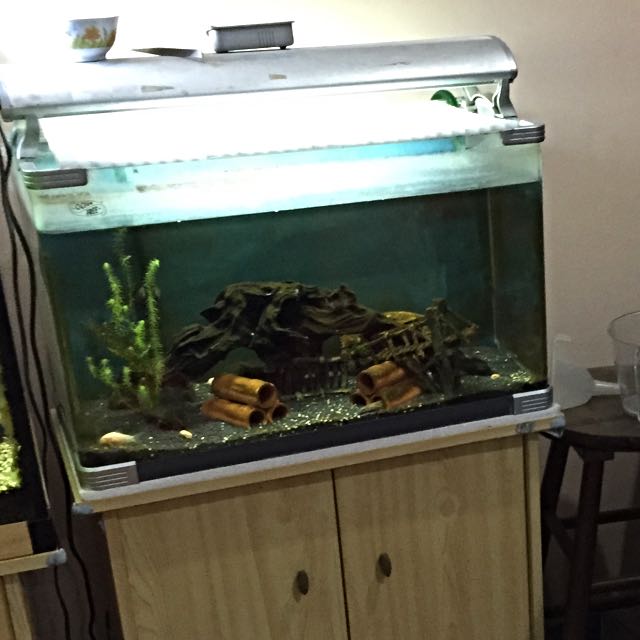 Eheim shop fish tanks