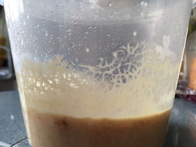 Microworms for Sale Food for Betta Guppy and other Tropical Baby Fish Fry