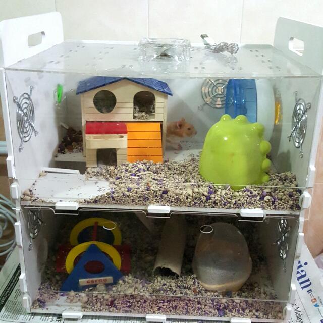 2 Storey Hamster Cage (Reserved), Pet Supplies, Homes & Other Pet