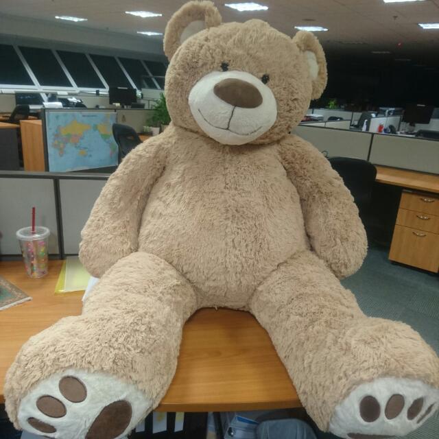 5 foot plush