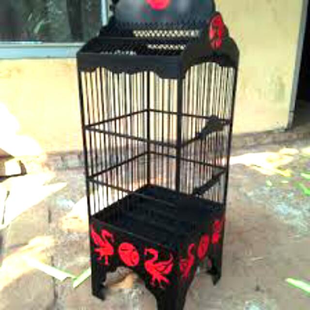 Sangkar Burung Pleci Prenjak Citto Dlll Buat Burung Kecil Saya Jual Barang Buat Customer Ukuran46x25 Perabotan Rumah Di Carousell