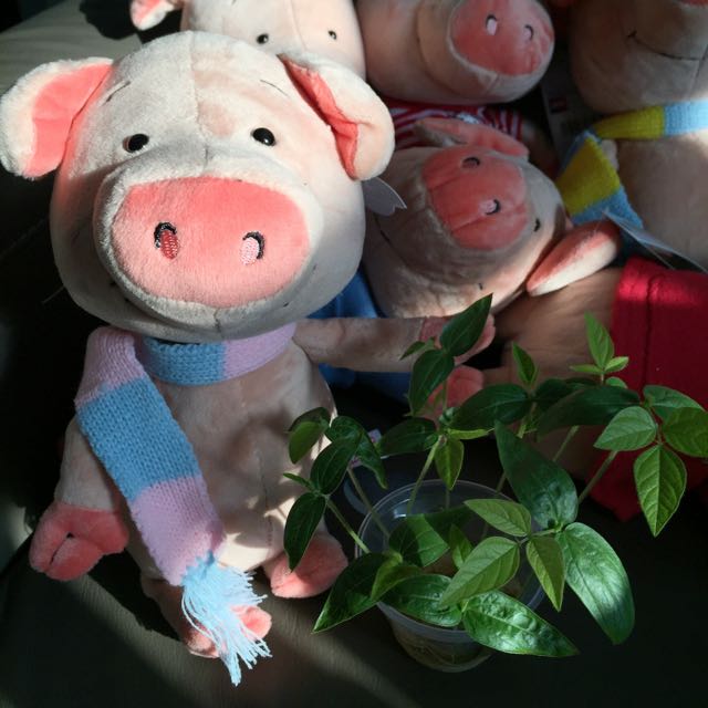 nici wibbly pig